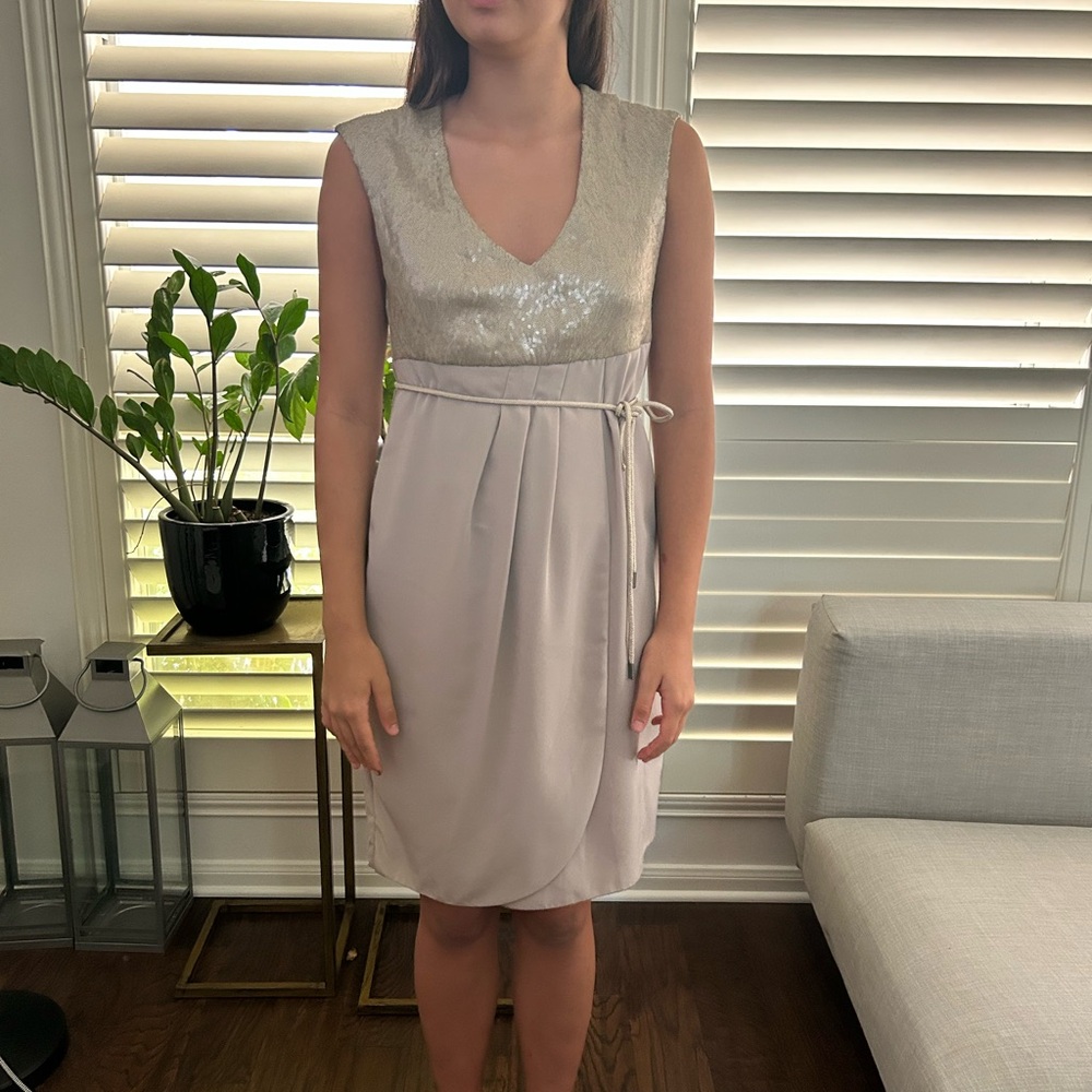 Silver and Cream Pleated Sheath Midi Dress